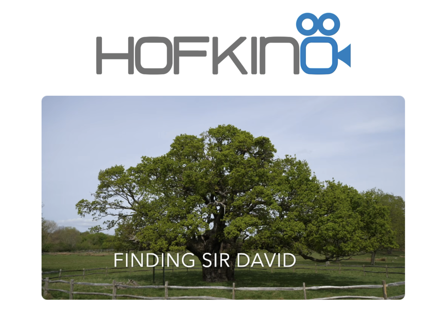 Finding Sir David